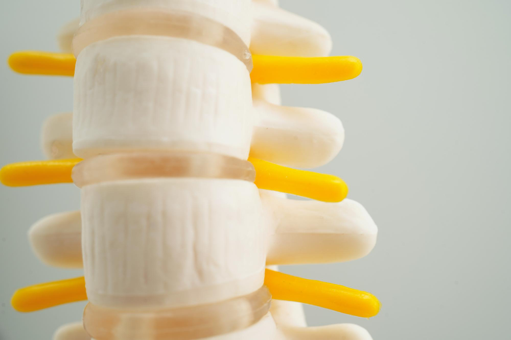 Degenerative Disc Disease Shawnee, KS